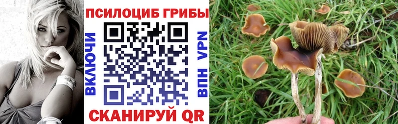Галлюциногенные грибы мицелий  Купить где  Магас 