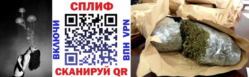 Конопля Bruce Banner  Купить  Магас 